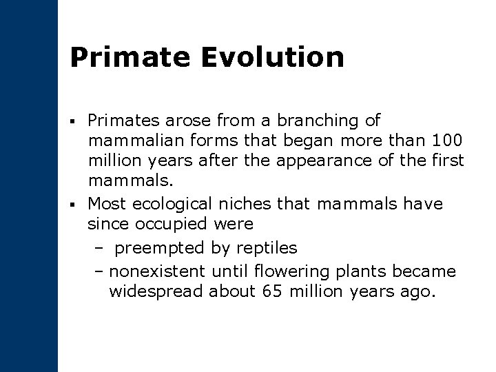 Primate Evolution Primates arose from a branching of mammalian forms that began more than