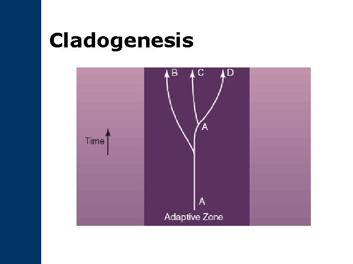 Cladogenesis 