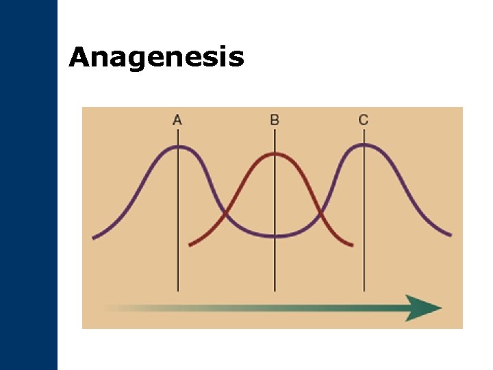 Anagenesis 