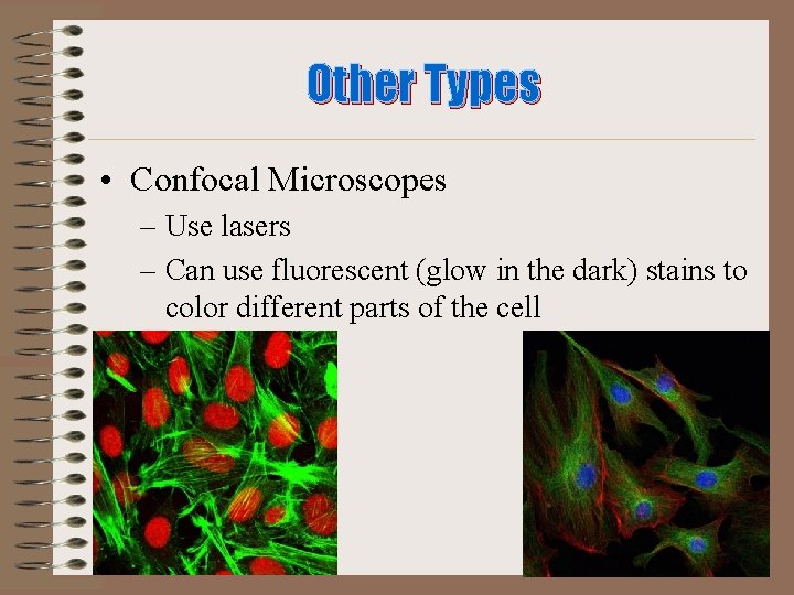 Other Types • Confocal Microscopes – Use lasers – Can use fluorescent (glow in