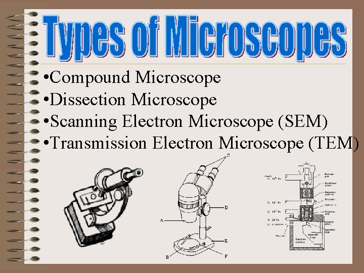  • Compound Microscope • Dissection Microscope • Scanning Electron Microscope (SEM) • Transmission