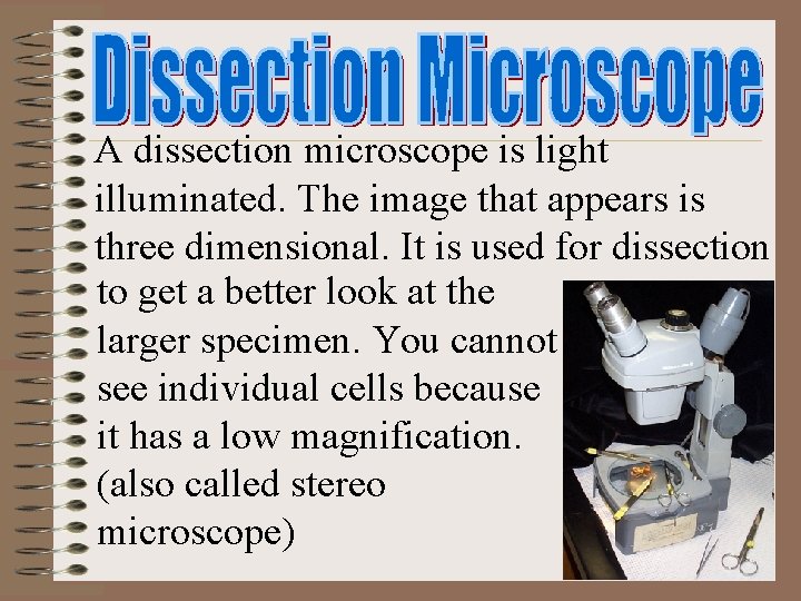 A dissection microscope is light illuminated. The image that appears is three dimensional. It