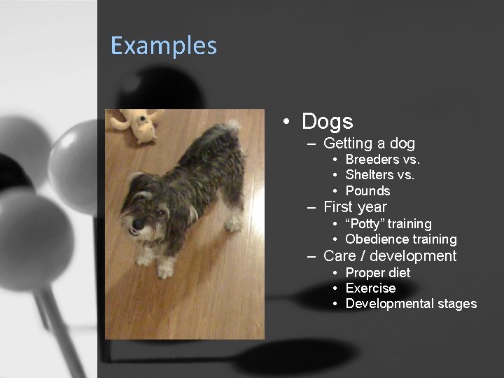 Examples • Dogs – Getting a dog • Breeders vs. • Shelters vs. •
