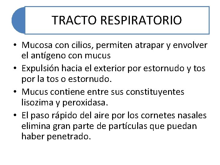 TRACTO RESPIRATORIO • Mucosa con cilios, permiten atrapar y envolver el antígeno con mucus