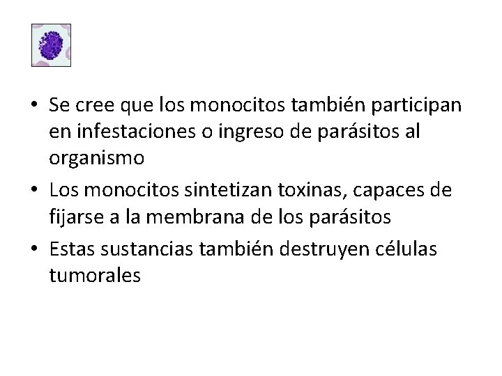  • Se cree que los monocitos también participan en infestaciones o ingreso de
