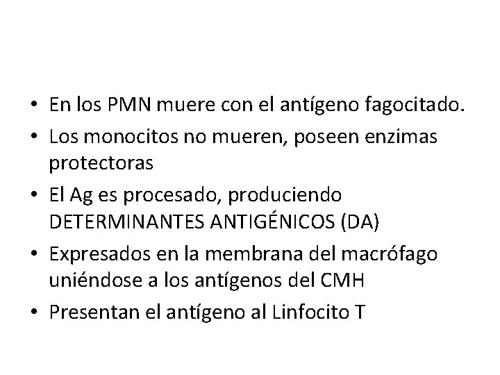  • En los PMN muere con el antígeno fagocitado. • Los monocitos no