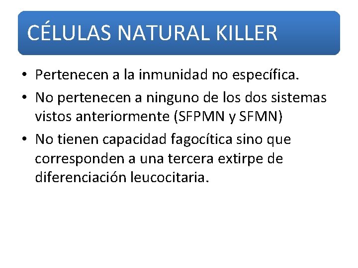 CÉLULAS NATURAL KILLER • Pertenecen a la inmunidad no específica. • No pertenecen a