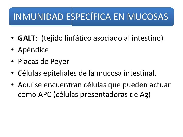 INMUNIDAD ESPECÍFICA EN MUCOSAS • • • GALT: (tejido linfático asociado al intestino) Apéndice