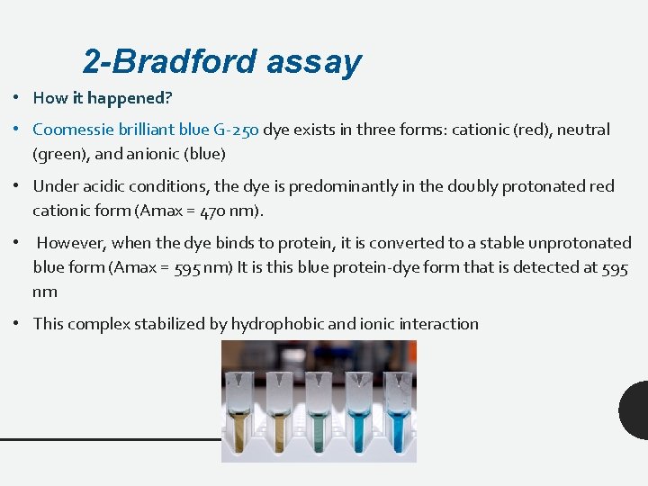 2 -Bradford assay • How it happened? • Coomessie brilliant blue G-250 dye exists