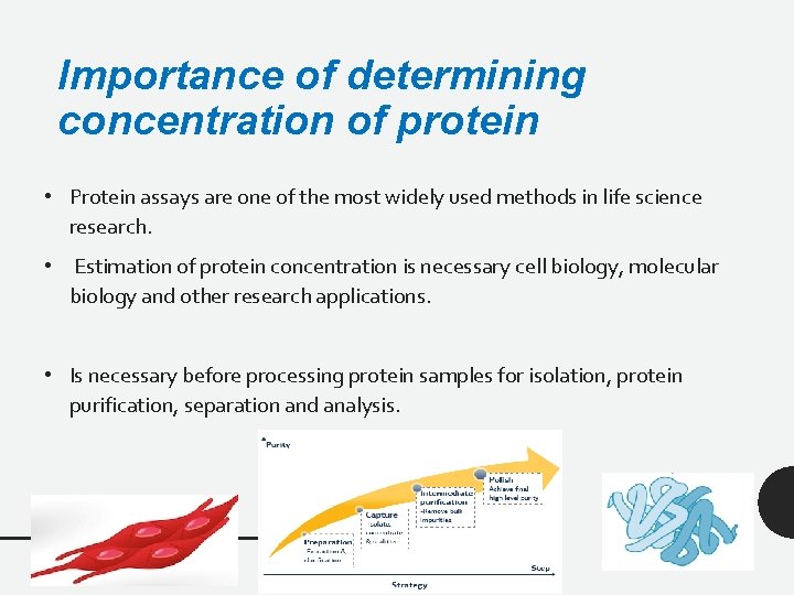 Importance of determining concentration of protein • Protein assays are one of the most