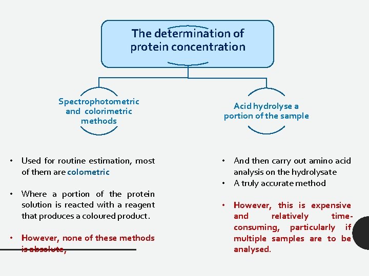 The determination of protein concentration Spectrophotometric and colorimetric methods • Used for routine estimation,