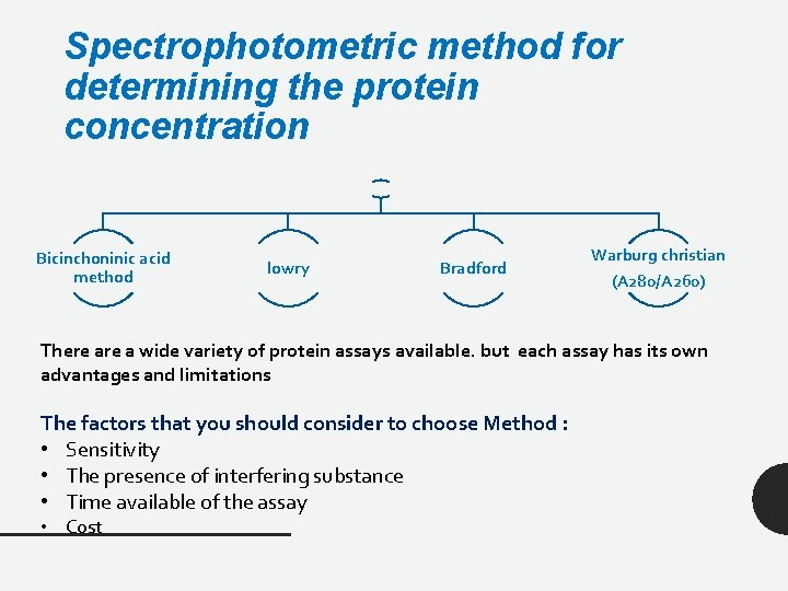 Spectrophotometric method for determining the protein concentration Bicinchoninic acid method lowry Bradford Warburg christian
