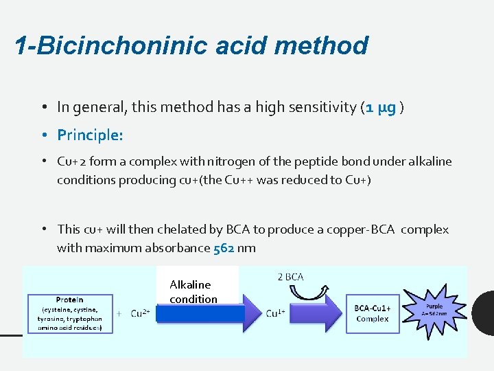 1 -Bicinchoninic acid method • In general, this method has a high sensitivity (1
