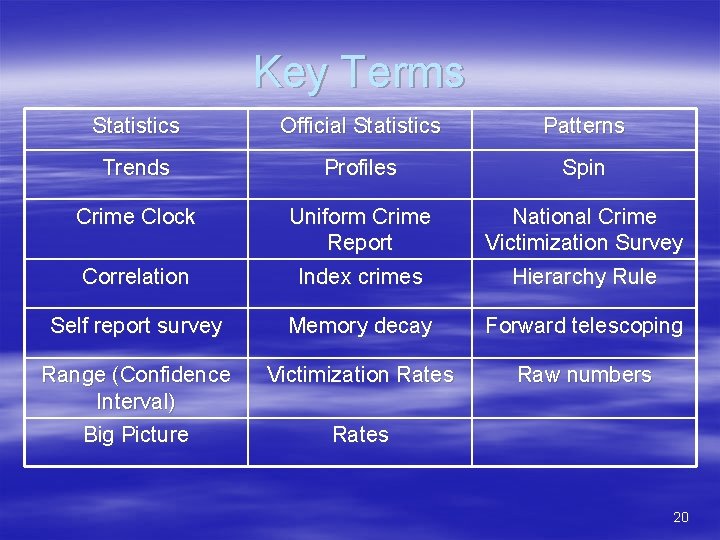 Key Terms Statistics Official Statistics Patterns Trends Profiles Spin Crime Clock Correlation Uniform Crime