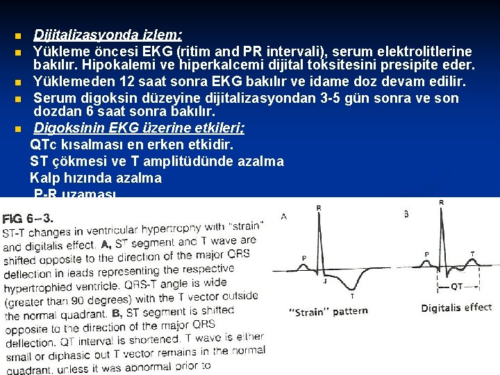 n n n Dijitalizasyonda izlem; Yükleme öncesi EKG (ritim and PR intervali), serum elektrolitlerine