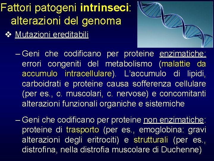 Fattori patogeni intrinseci: alterazioni del genoma v Mutazioni ereditabili – Geni che codificano per