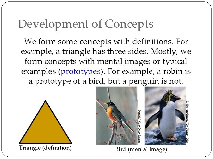 Development of Concepts We form some concepts with definitions. For example, a triangle has