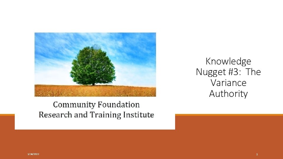 Knowledge Nugget #3: The Variance Authority 1/24/2022 1 