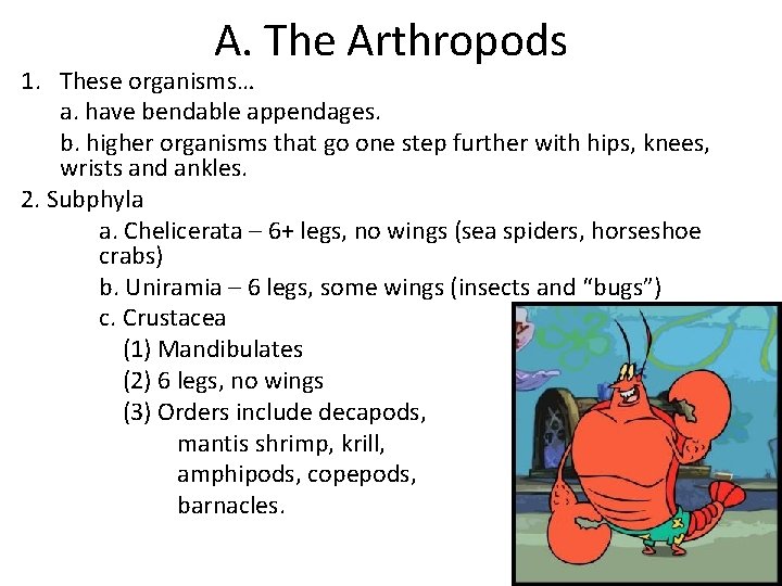 A. The Arthropods 1. These organisms… a. have bendable appendages. b. higher organisms that