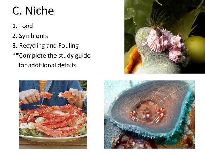 C. Niche 1. Food 2. Symbionts 3. Recycling and Fouling **Complete the study guide