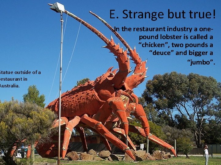 Statue outside of a restaurant in Australia. E. Strange but true! In the restaurant