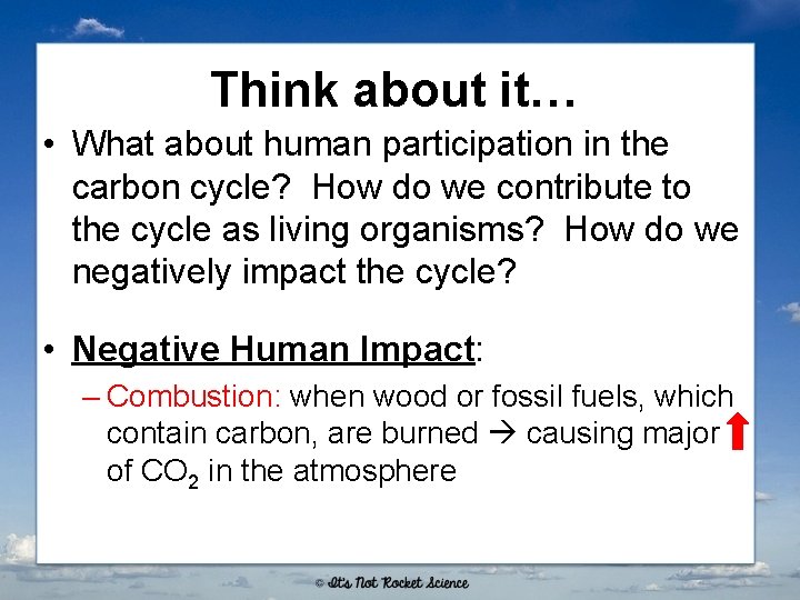 Think about it… • What about human participation in the carbon cycle? How do