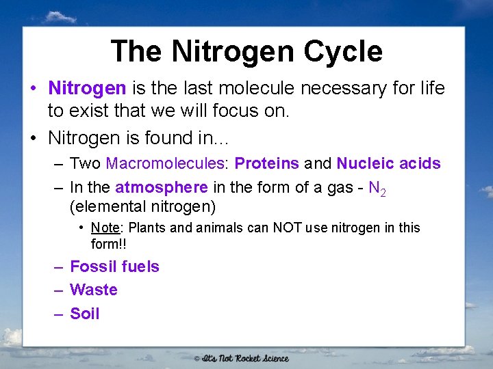 The Nitrogen Cycle • Nitrogen is the last molecule necessary for life to exist