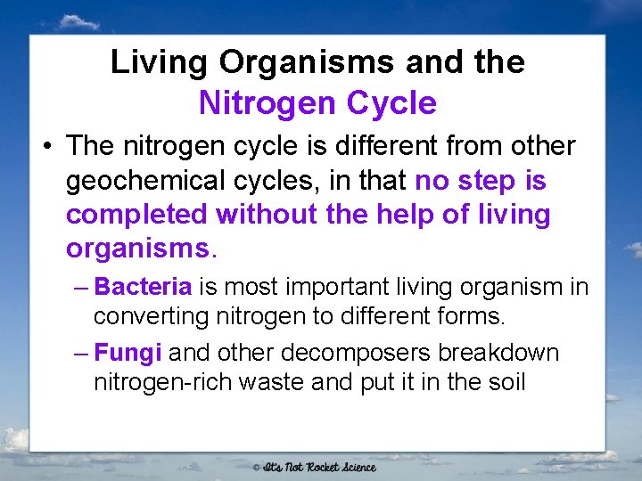 Living Organisms and the Nitrogen Cycle • The nitrogen cycle is different from other