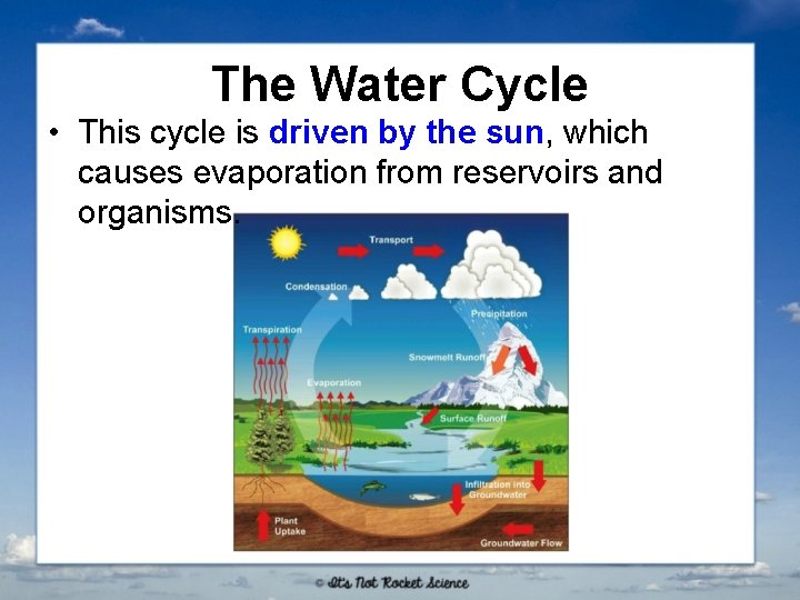 The Water Cycle • This cycle is driven by the sun, which causes evaporation