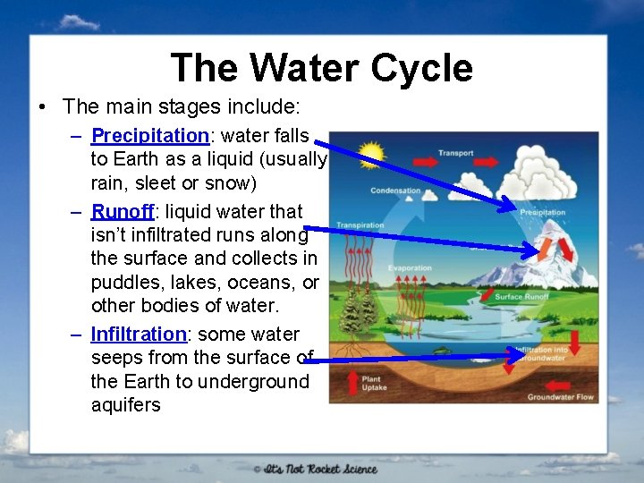 The Water Cycle • The main stages include: – Precipitation: water falls to Earth