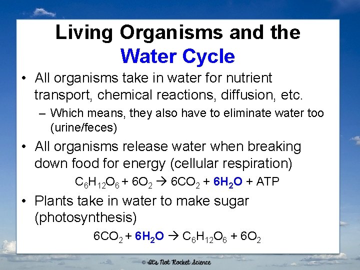 Living Organisms and the Water Cycle • All organisms take in water for nutrient