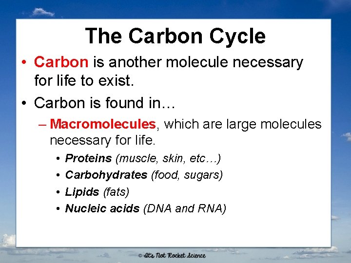 The Carbon Cycle • Carbon is another molecule necessary for life to exist. •