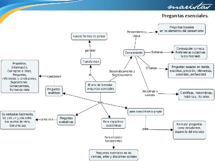 Preguntas esenciales. 