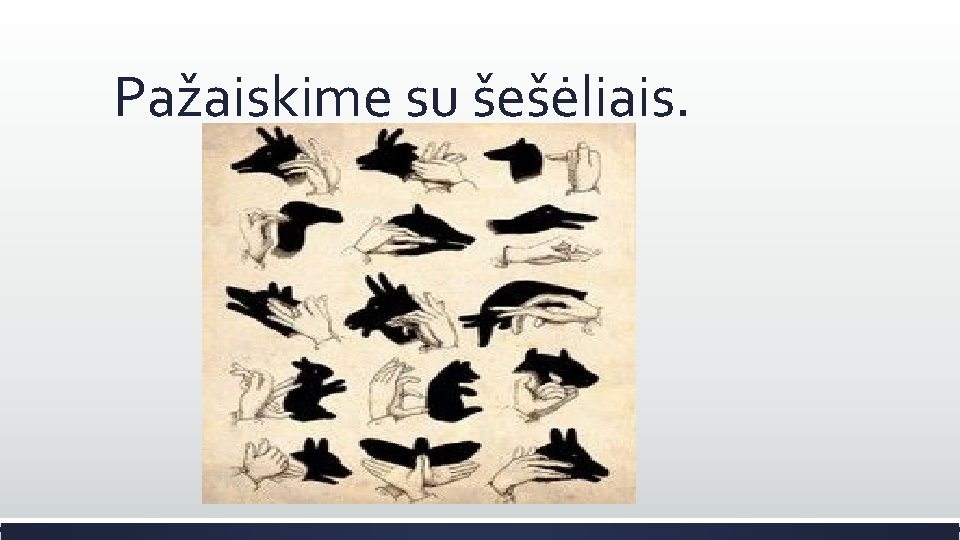 Pažaiskime su šešėliais. 