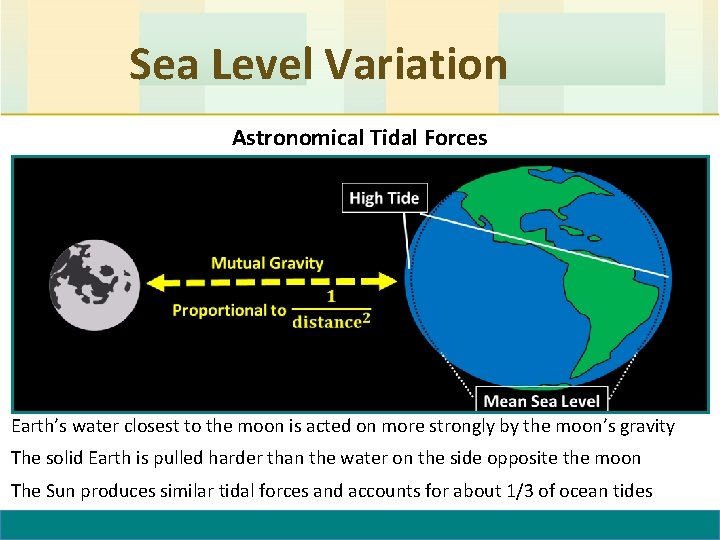 Sea Level Variation Astronomical Tidal Forces Earth’s water closest to the moon is acted Sea Level Variation Astronomical Tidal Forces Earth’s water closest to the moon is acted