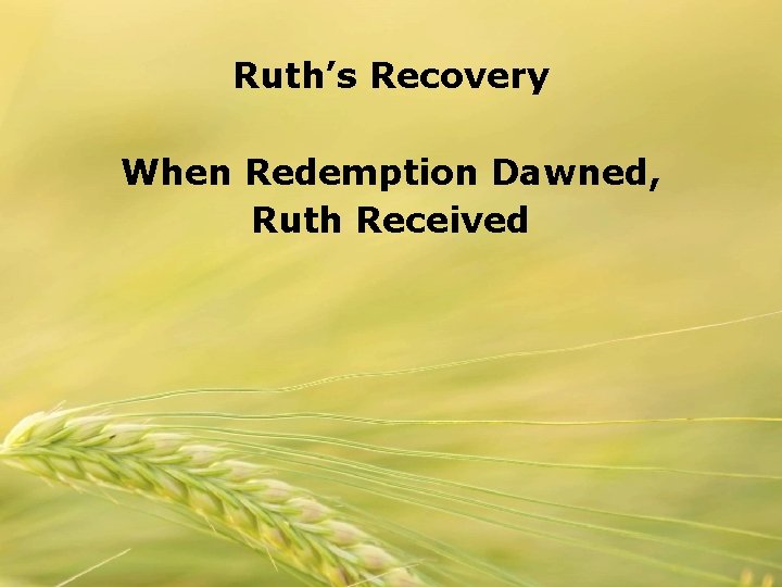Ruth’s Recovery When Redemption Dawned, Ruth Received 