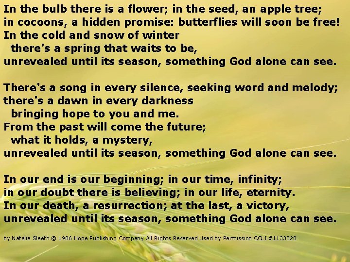 In the bulb there is a flower; in the seed, an apple tree; in