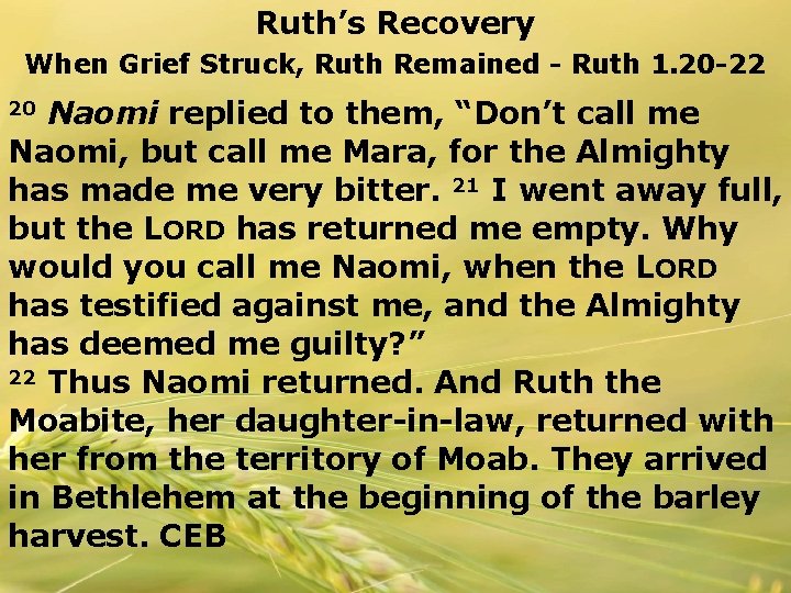 Ruth’s Recovery When Grief Struck, Ruth Remained - Ruth 1. 20 -22 Naomi replied