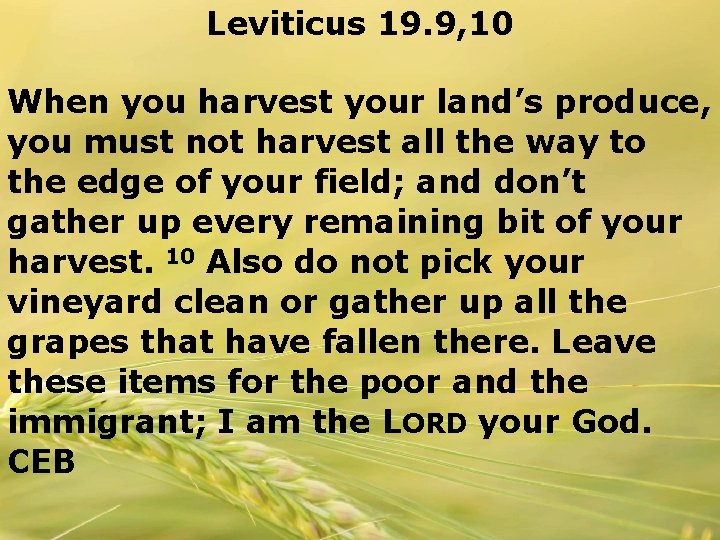 Leviticus 19. 9, 10 When you harvest your land’s produce, you must not harvest