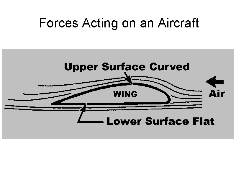 Forces Acting on an Aircraft 