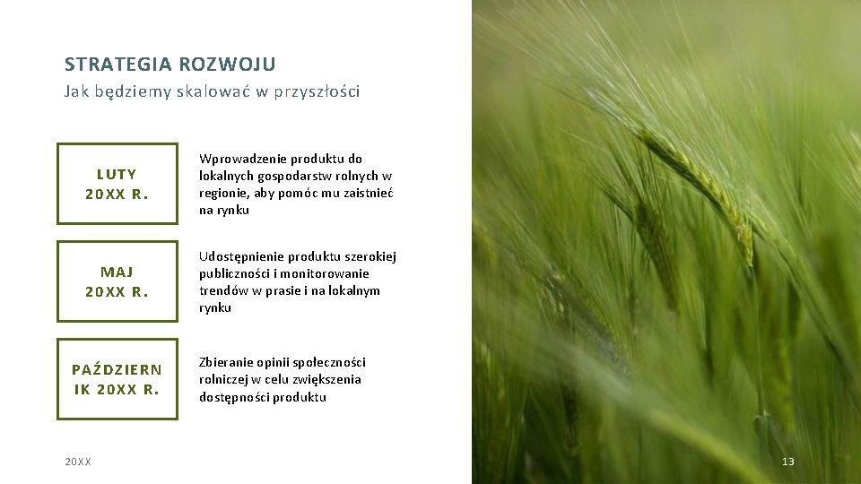 STRATEGIA ROZWOJU Jak będziemy skalować w przyszłości LUTY 20 XX R. Wprowadzenie produktu do