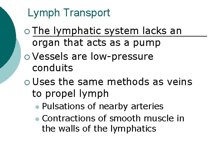 Lymph Transport ¡ The lymphatic system lacks an organ that acts as a pump