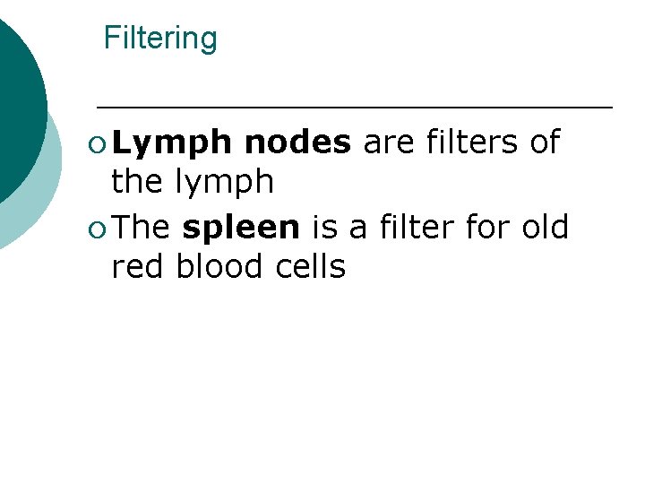 Filtering ¡ Lymph nodes are filters of the lymph ¡ The spleen is a