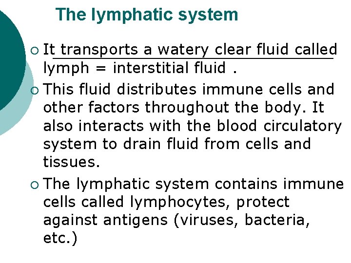 The lymphatic system It transports a watery clear fluid called lymph = interstitial fluid.