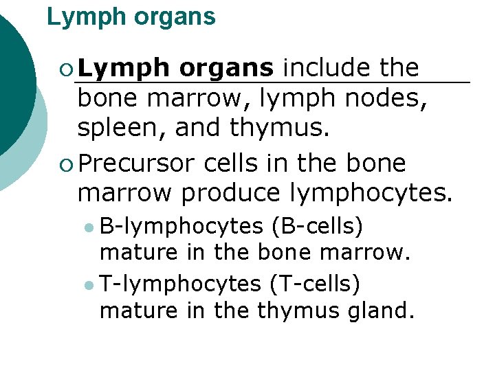 Lymph organs ¡ Lymph organs include the bone marrow, lymph nodes, spleen, and thymus.