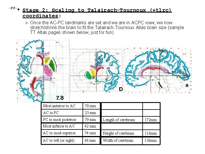 -22 - • Stage 2: Scaling to Talairach-Tournoux (+tlrc) coordinates: Once the AC-PC landmarks