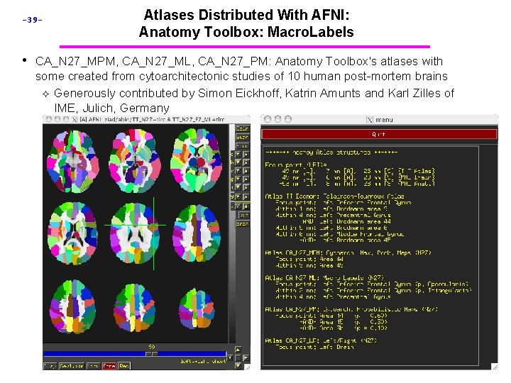 -39 - Atlases Distributed With AFNI: Anatomy Toolbox: Macro. Labels • CA_N 27_MPM, CA_N