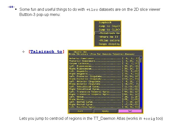 -40 - • Some fun and useful things to do with +tlrc datasets are