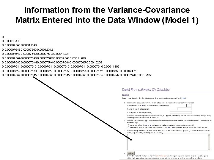 Information from the Variance-Covariance Matrix Entered into the Data Window (Model 1) 0 0