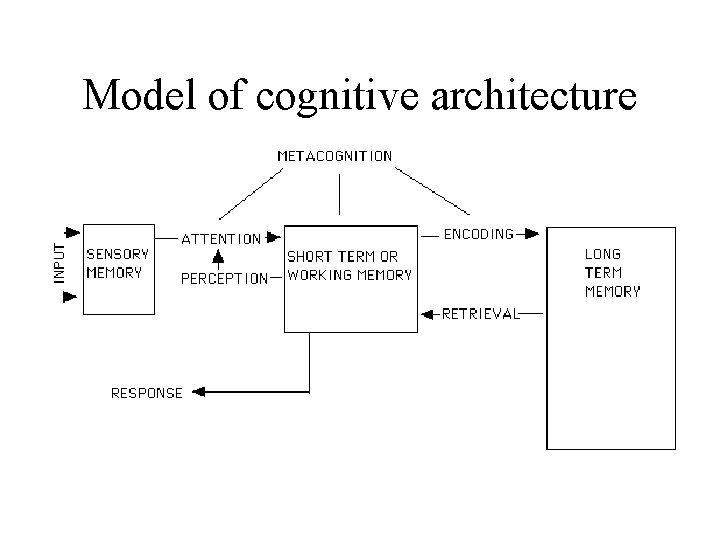 Model of cognitive architecture 